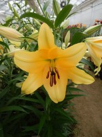 [4144 Corcovado No02.JPG]